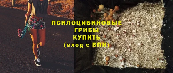 ГАЛЛЮЦИНОГЕННЫЕ ГРИБЫ Алексеевка
