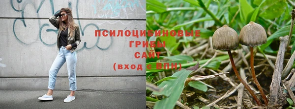 героин Алексин