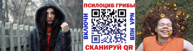 Галлюциногенные грибы Psilocybe  Конаково 